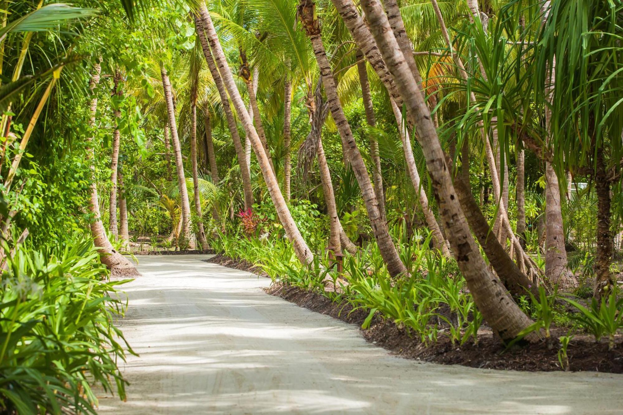 Dusit Thani Maldives - 50 Percent Discount On Transfers For Stays Until 20 Dec 2025 Amilla Fushi Esterno foto
