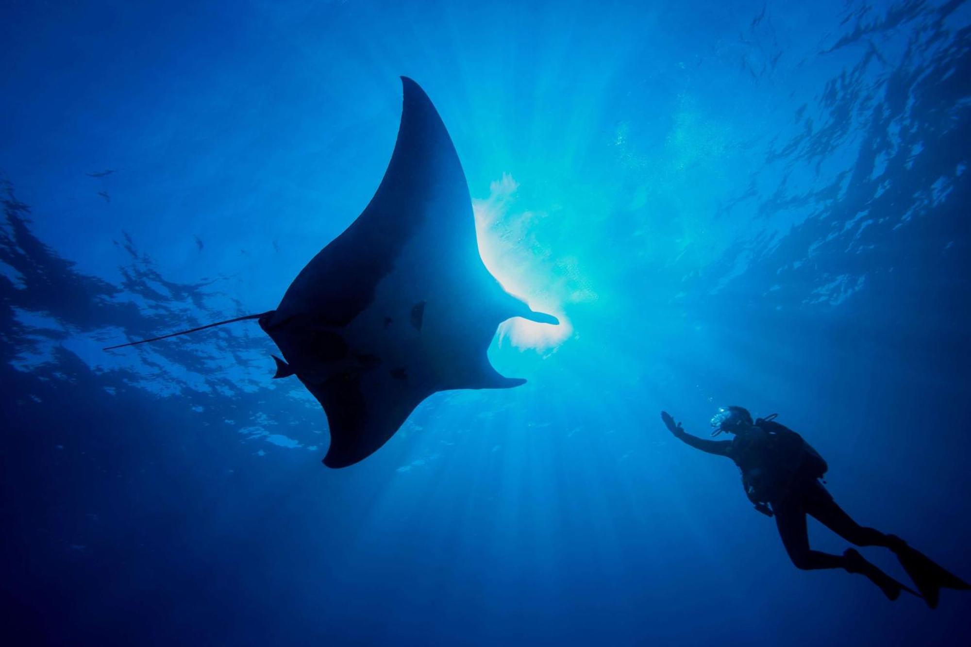 Dusit Thani Maldives - 50 Percent Discount On Transfers For Stays Until 20 Dec 2025 Amilla Fushi Esterno foto