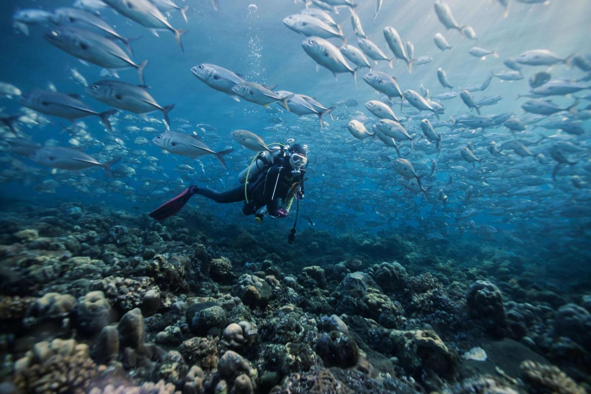 Dusit Thani Maldives - 50 Percent Discount On Transfers For Stays Until 20 Dec 2025 Amilla Fushi Esterno foto