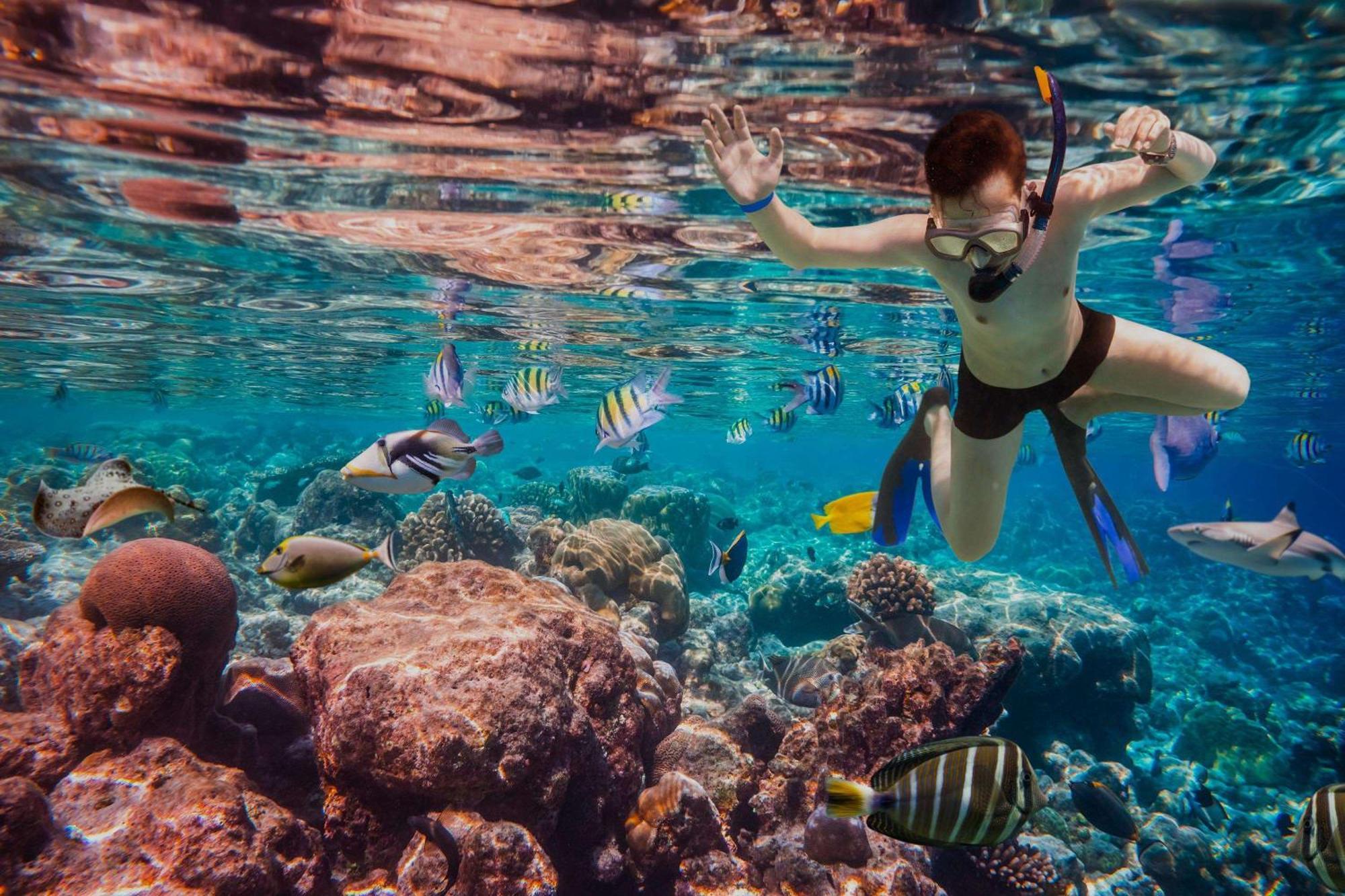 Dusit Thani Maldives - 50 Percent Discount On Transfers For Stays Until 20 Dec 2025 Amilla Fushi Esterno foto